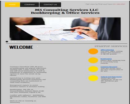 MS Consulting Services